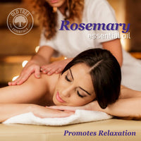 Old Tree Rosemary Essential Oil for Hair Growth for Women & Men (15ml) - Pure and Natural Oil with Dropper for Skin, Body, Diffuser, Aroma Therapy & Relaxation