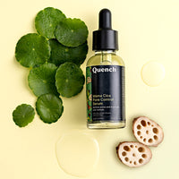 QUENCH BOTANICS Pore Control Serum With 7% Pha & Cica | Reduces Blackheads, Acne Marks & Whiteheads | Minimizes Appearance Of Pores | Gently Exfoliates To Unclog Pores | Made In Korea (30Ml)