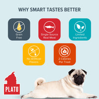 PLATO Small Bites Dog Treats, Natural Bite Sized Real Meat & Salmon Flavor, Grain Free & High in Protein, Air Dried Authentic Ingredients, 2 Calories Per Treat, Made in the USA, 6 Ounces 6 Ounce (Pack of 1)