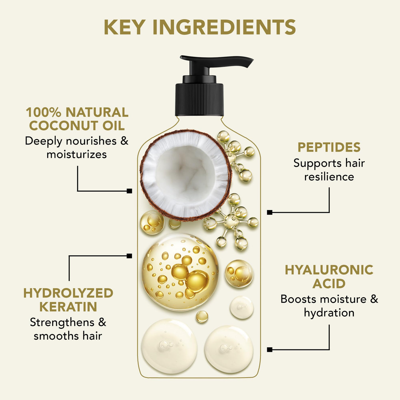 Botanic Hearth Defrizz & Repair Shampoo with Hydrolyzed Keratin & Peptides | Strengthens & Restores Hair |Repairs Damage & Adds Volume | Sulfate & Paraben Free, 473ml