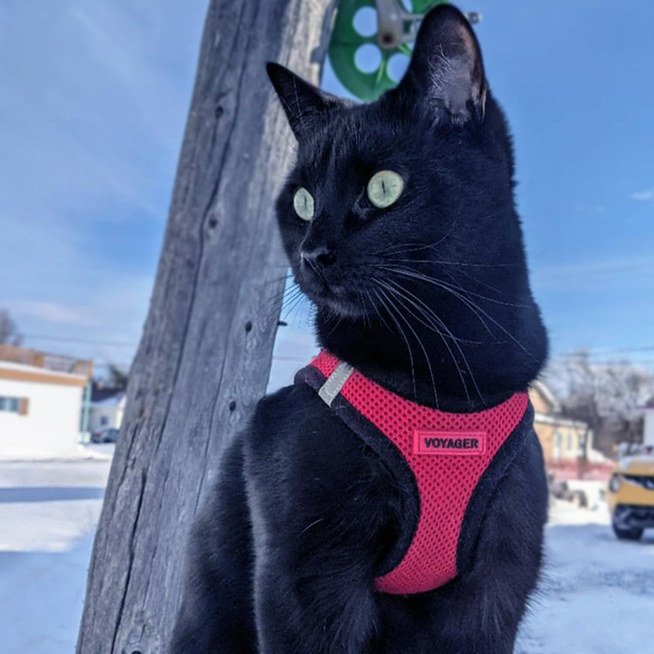 Voyager Step-in Air Dog Harness - All Weather Mesh Step in Vest Harness for Small and Medium Dogs and Cats by Best Pet Supplies - Harness (Red/Black Trim), XL (Chest: 20.5-23") Harness (Red/Black Trim) XL (Chest: 20.5 - 23")