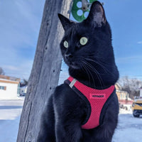 Voyager Step-in Air Dog Harness - All Weather Mesh Step in Vest Harness for Small and Medium Dogs and Cats by Best Pet Supplies - Harness (Red/Black Trim), XL (Chest: 20.5-23