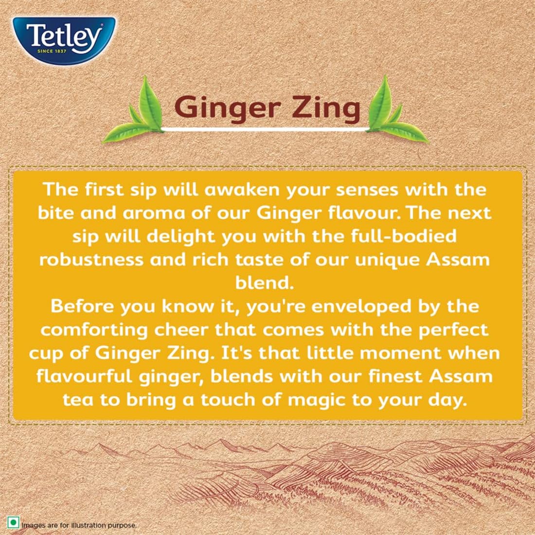 Tetley Ginger Zing Flavoured Chai Black Tea 50 Tea Bags,100 Grams
