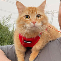 Voyager Step-in Air Dog Harness - All Weather Soft & Breathable Mesh Step in Vest Harness for Small and Medium Dogs and Cats by Best Pet Supplies - Harness (Red), XS (Chest: 13-14.5