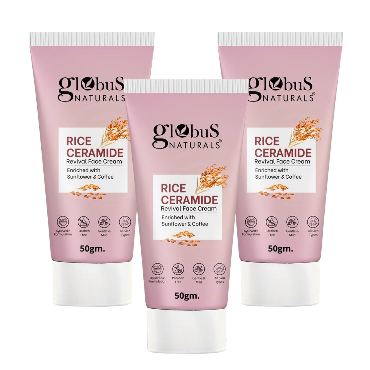 Globus Naturals Rice Ceramide Revival Face Cream, Enriched with Sunflower & Coffee, Ayurvedic Formula, Paraben Free, Gentle & Mild, Suitable For All Skin Types, 50 gm (Pack of 3)
