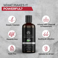 The Man Company Charcoal Shampoo For Oily Scalp To Eliminate Dandruff, Improve Hair Growth with Peppermint & Clove | Healthy and Shiny Hair - 250ml