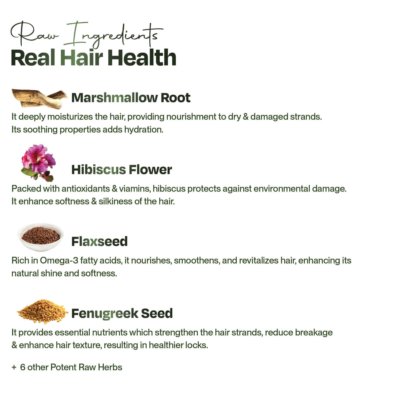 Sacred Grove Condition & Repair Hair Mask | Hydrates Rough & Dry Hair | Marshmallow Root, Flaxseed & Hibiscus | Made with 10 Potent Raw Herbs | At-Home Hair Spa | Paraben, Sulphate-Free | 200 gms