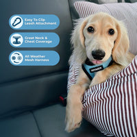 Voyager Step-in Air Dog Harness - All Weather Mesh Step in Vest Harness for Small and Medium Dogs and Cats by Best Pet Supplies - Harness (Baby Blue/Black Trim), M (Chest: 16-18