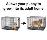 MidWest Homes for Pets Divider Panel Fits Models 1324TD, 1524 and 1524DD Black Models 1524, 1524DD, 1924