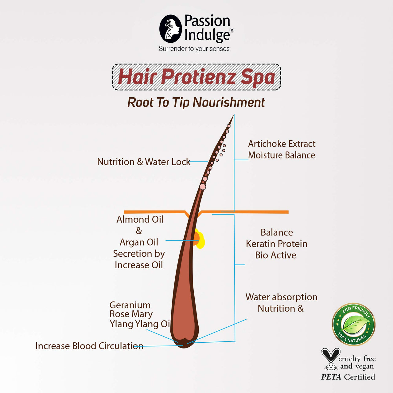 Passion Indulge Natural Hair Proteinz Spa (Inbuilt Protein Booster) - (250 gm)