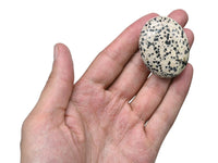 Dalmatian Jasper Palm Stone - Hot Massage Worry Stone for Natural Body Chakra Balancing, Reiki Healing and Crystal Grid Dalmatian Jasper