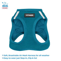 Voyager Step-in Air All Weather Mesh Harness and Reflective Dog 5 ft Leash Combo with Neoprene Handle, for Small, Medium and Large Breed Puppies by Best Pet Supplies - Set (Turquoise), XL Harness Leash Set (Turquoise) XL (Chest: 20.5 - 23
