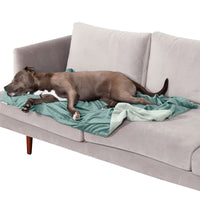 Furhaven Waterproof Throw Blanket for Dogs & Indoor Cats, Washable - Two-Tone Luxe Velvet Dog Blanket - Celadon Green, Large Blanket - Two-tone Luxe Velvet (Celadon Green) 50.0