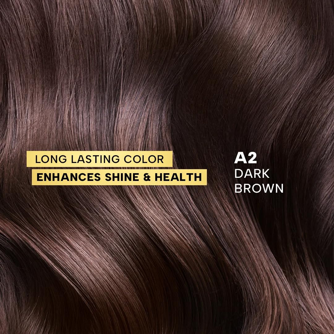 Berina Professional | Permanent Hair Color Cream | 60gm | A02 Dark Brown | Long Lasting Color