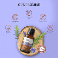 Just Herbs Rosemary Steam 100% Pure Distilled Essential Oil for Hair | Skin | Fights Acne | Elevates Mood Aromatherapy for Men and Women (10 ml)