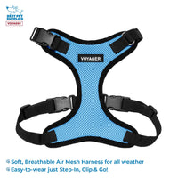 Voyager Step-in Lock Dog Harness w Reflective Dog Leash Combo Set with Neoprene Handle 5ft - Supports Small, Medium and Large Breed Puppies/Cats by Best Pet Supplies - Baby Blue/Black Trim, XL