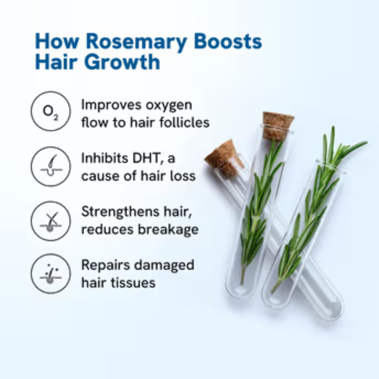 Be Bodywise 3% Redensyl & Rosemary Hair Growth Serum (Roll On) | Pack of 2 |with 2% Anagain | Thicker & Stronger Hair | Prevents Hairfall & Stimulates Hair Follicles | For All Hair Types | 50ml