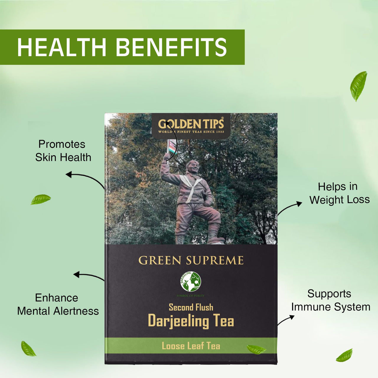 Golden Tips Green Supreme Darjeeling Green Tea Second Flush (250gm-125 Cups)