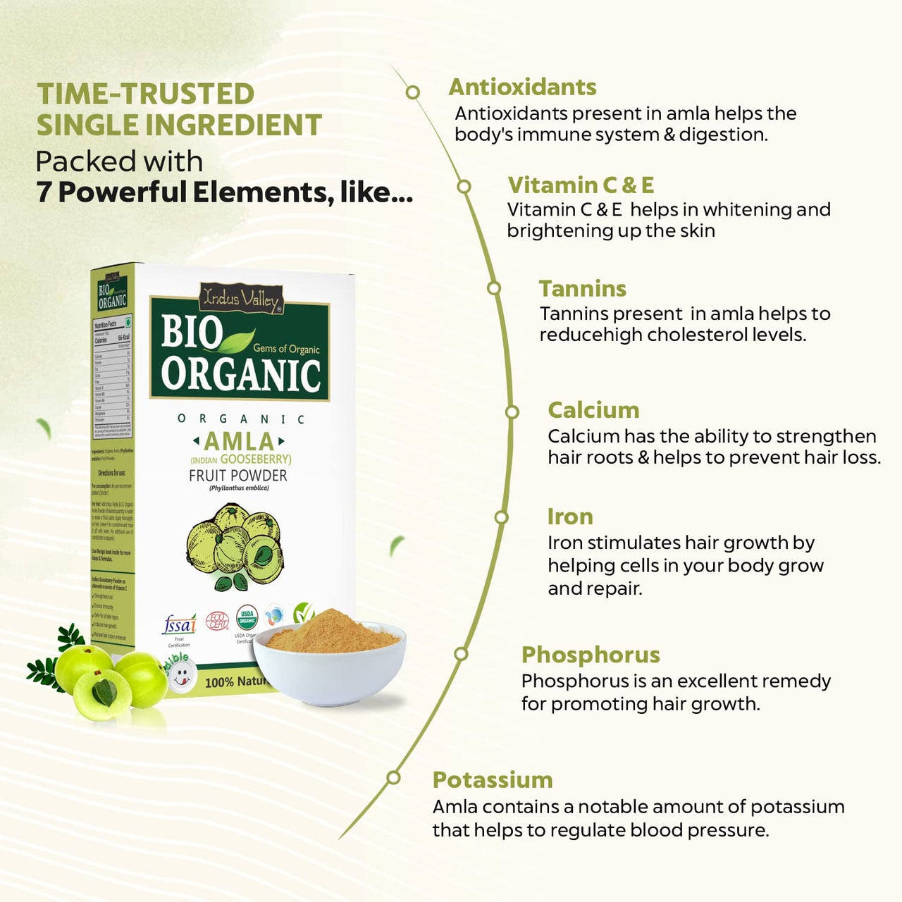 INDUS VALLEY Bio Organic 100% Natural Amla Indian Gooseberry Fruit Powder for Hair Growth, Skin, Drinking and Eating - 100g