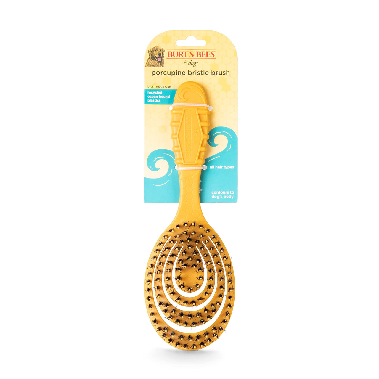 Burt’s Bees for Pets Porcupine Bristle Brush for Large Dogs with Handle Made from Recycled Plastics Collected from Coastal Communities | Large Flex-head Grooming Brush for Large Dogs Porcupine Bristle Plastic Brush 9 Inch