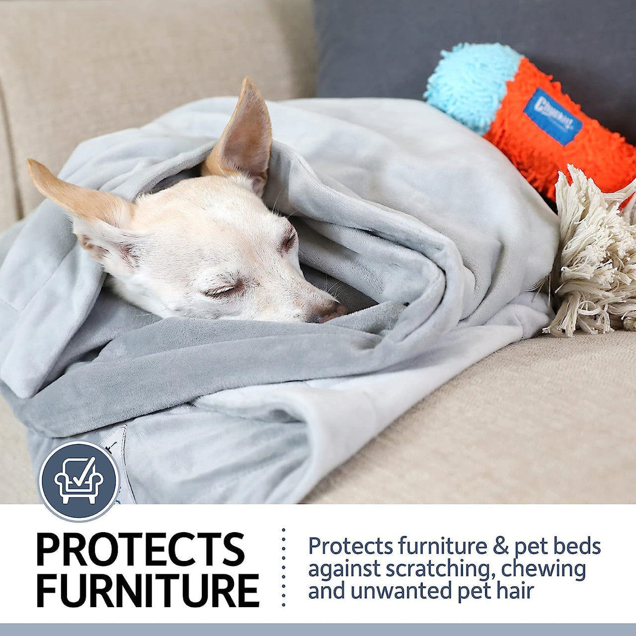 PetFusion Premium Dog Blanket, Cat Blanket | Ultra Soft Pet Blanket Available in Plush or Quilted, 2 Colors (Grey, Brown) | Perfect Blanket for Small Dogs & Large Dogs. 12 Month Warranty Small (31 x 27") Gray