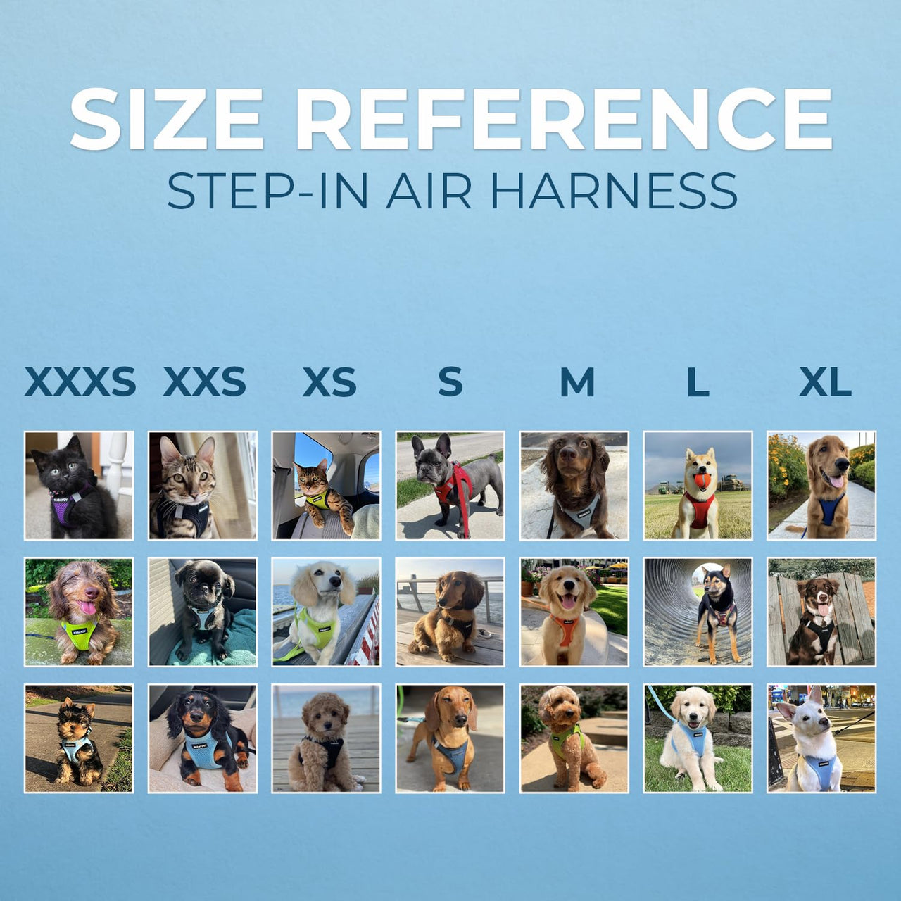 Voyager Step-in Air Dog Harness - All Weather Mesh Step in Vest Harness for Small and Medium Dogs by Best Pet Supplies - Turquoise (2-Tone), L Harness (Turquoise 2-Tone) L (Chest: 18 - 20.5")