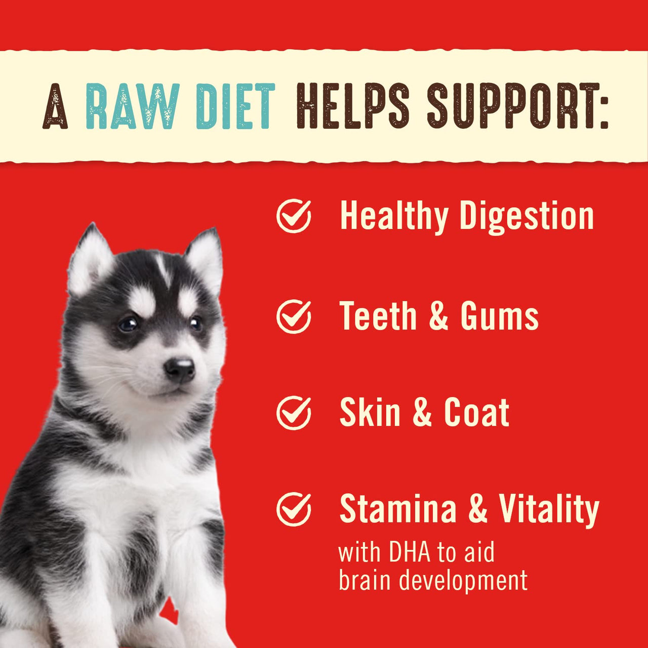 Stella & Chewy's  Freeze Dried Raw Dinner Patties – Crafted for Puppies – Grain Free, Protein Rich Perfectly Puppy Beef & Salmon Recipe – 5.5 oz Bag, Pack of 1 5.5 Ounce (Pack of 1)