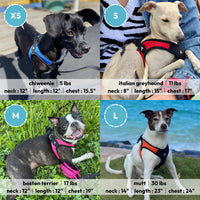 Gooby Escape Free Easy Fit Harness - Orange, X-Small - No Pull Step-in Patented Small Dog Harness with Quick Release Buckle - Perfect On The Go No Pull Harness for Small Dogs or Medium Dog Harness X-Small chest (15~17.25