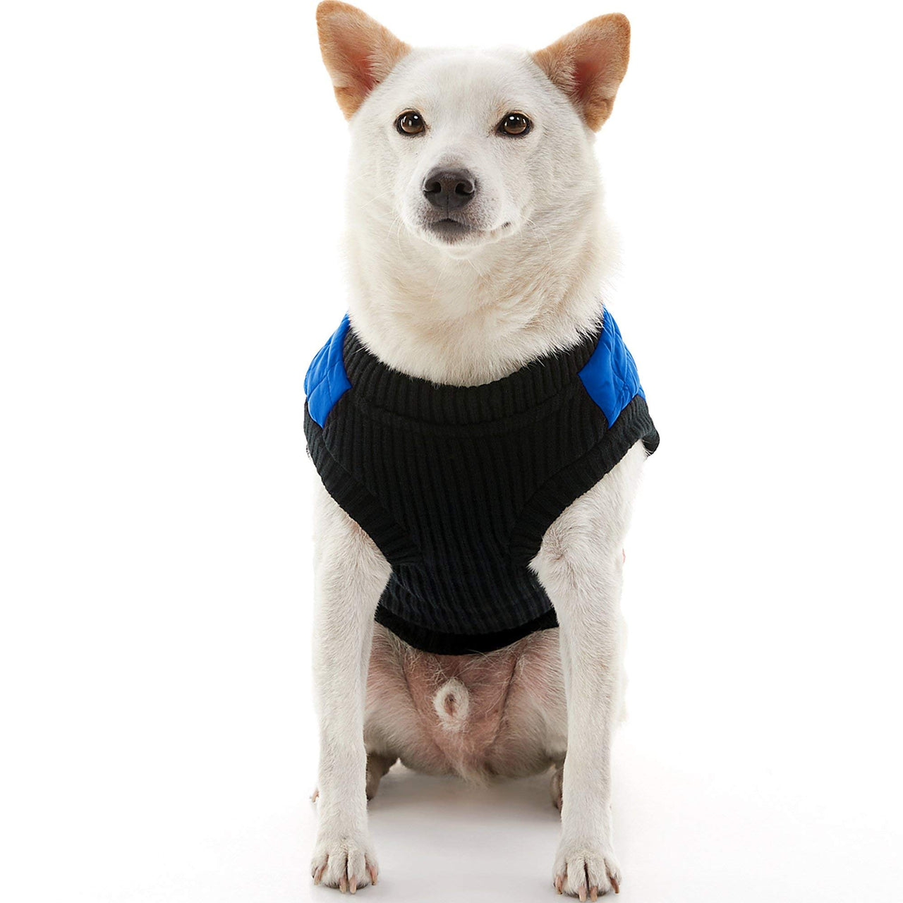 Gooby Fashion Vest Dog Jacket - Blue, X-Large - Warm Zip Up Dog Bomber Vest with Dual D Ring Leash - Winter Water Resistant Small Dog Sweater - Dog Clothes for Small Dogs Boy or Medium Dogs X-Large chest (~20.5")