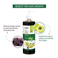 BEE ONE Amla Shikakai Shampoo (500 ml)
