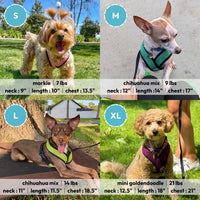 Gooby Comfort X Head In Harness - Green, Medium - No Pull Small Dog Harness Patented Choke-Free X Frame - Perfect on the Go Dog Harness for Medium Dogs No Pull or Small Dogs for Indoor and Outdoor Use