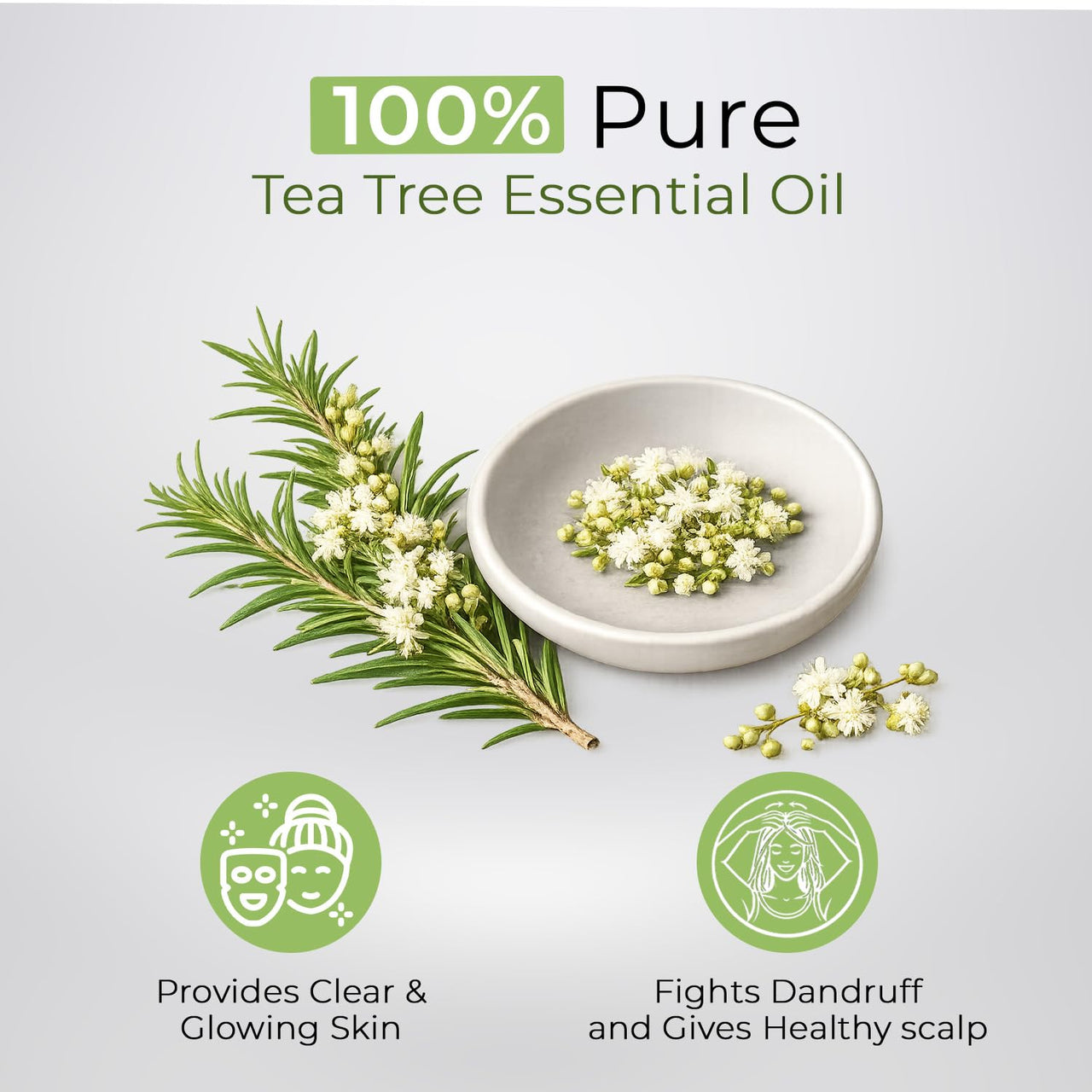 ZenAum Essences 100% Pure & Natural Australian Tea Tree Essential Oil for Scalp Care | Controls Dandruff & Cleanses Scalp | For Men & Women | FDA Approved | GMP, IFRA & ISO Certified | 15ml