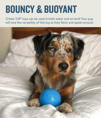 Outward Hound Orbee-Tuff Squeak Ball Blue Dog Fetch Toy Medium
