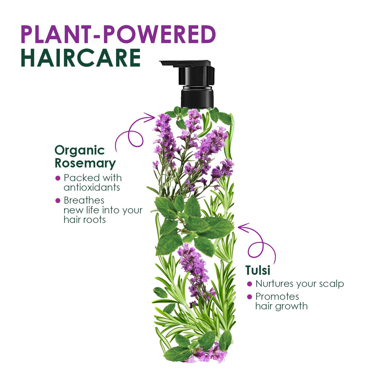 Kesh King Organic Rosemary Shampoo with Tulsi, anti hairfall shampoo for stronger hair growth and damage repair, sulphate free & ayurvedic, 300ml