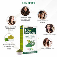 INDUS VALLEY 100% Certified Organic Herbal Henna Powder, 100g each (Pack of 6) - Green