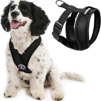 Gooby Comfort X Head In Harness - Black, Small - No Pull Small Dog Harness, Patented Choke-Free X Frame - Perfect on the Go Dog Harness for Medium Dogs No Pull or Small Dogs for Indoor and Outdoor Use Small Chest (11.75-15.5