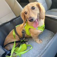 Voyager Step-in Air Cat Harness - All Weather Mesh Step in Vest Harness for Small and Medium Cats by Best Pet Supplies - Harness (Lime Green), XXXS (Chest: 9.5-10.5