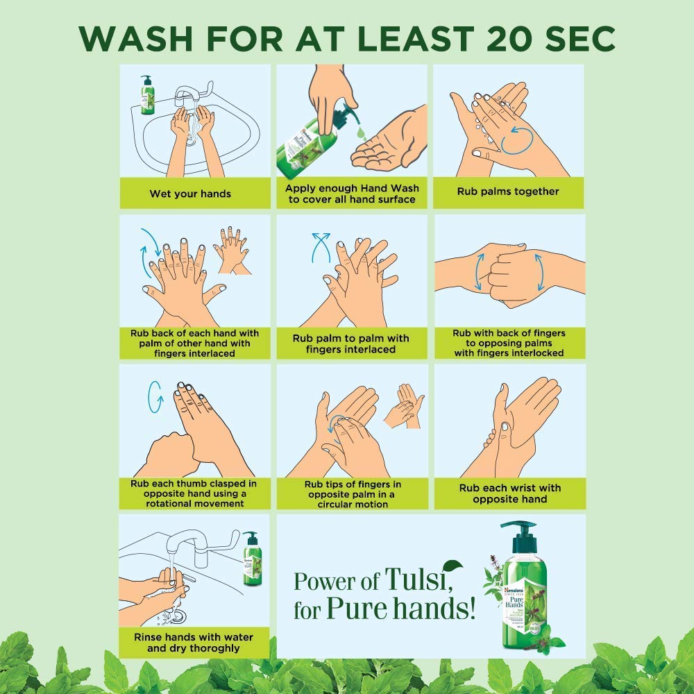 Himalaya Pure Hands Purifying Tulsi Hand Wash Pump 250 ml (Pack of 2)