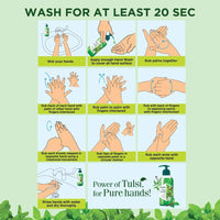 Himalaya Pure Hands Purifying Tulsi Hand Wash Pump 250 ml (Pack of 2)