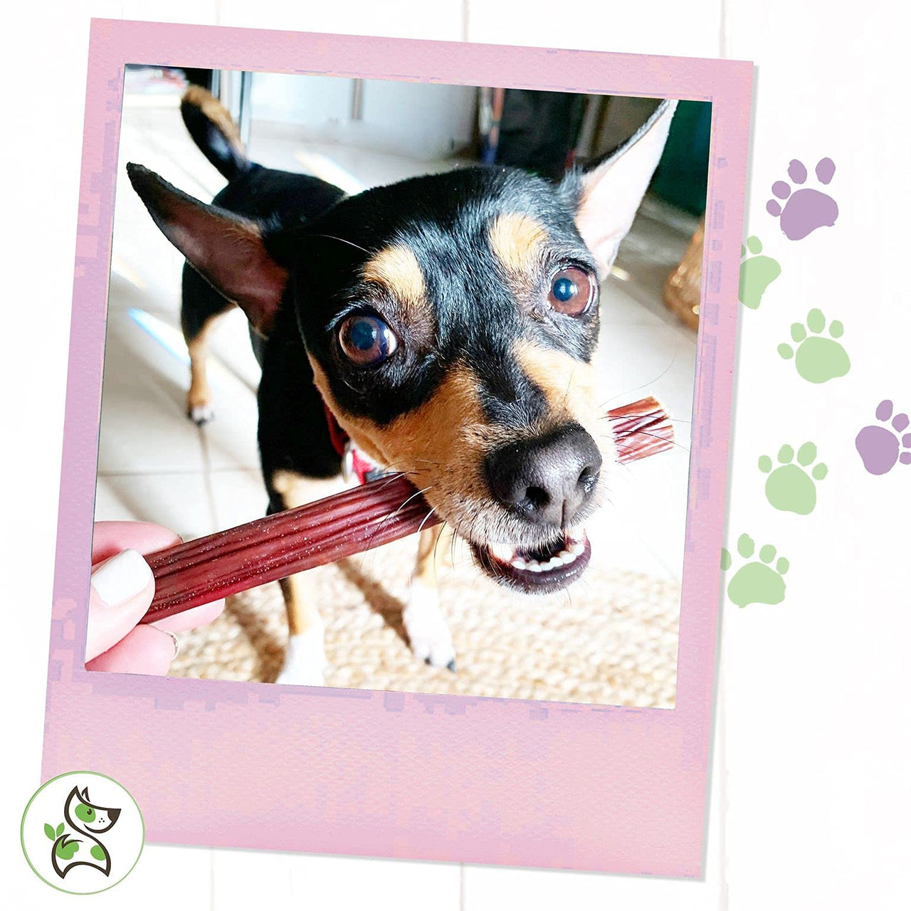 Nature Gnaws Beef Jerky Sticks for Dogs - Single Ingredient Beef Gullet Chew Treats - Simple Natural Delicious Dog Chews - Training Reward - 5-6 Inch 1 Count (Pack of 1)