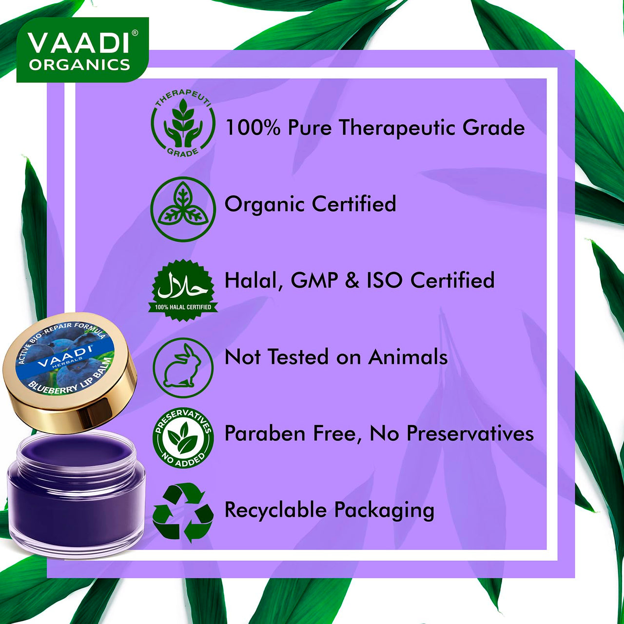 Vaadi Herbals Lip Balm, Blueberry, 10g