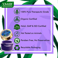 Vaadi Herbals Lip Balm, Blueberry, 10g