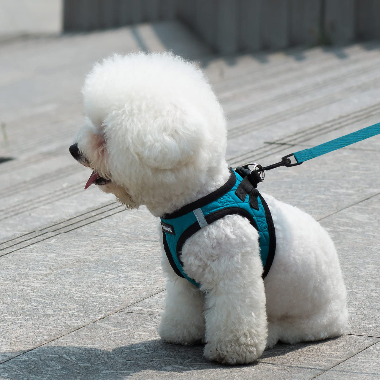 Voyager Step-in Plush Dog Harness  Soft Plush, Step in Vest Harness and Reflective Dog 5 ft Leash Combo with Neoprene Handle for Small and Medium Dogs by Best Pet Supplies -Set (Red Plush), S