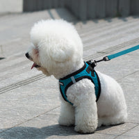 Voyager Step-in Plush Dog Harness  Soft Plush, Step in Vest Harness and Reflective Dog 5 ft Leash Combo with Neoprene Handle for Small and Medium Dogs by Best Pet Supplies -Set (Red Plush), S