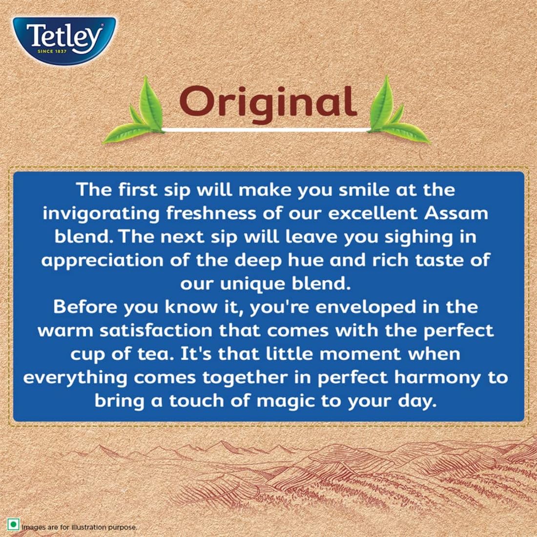 Tetley Original Black Tea - 250 Tea Bags, 425 grams, Pack of 1