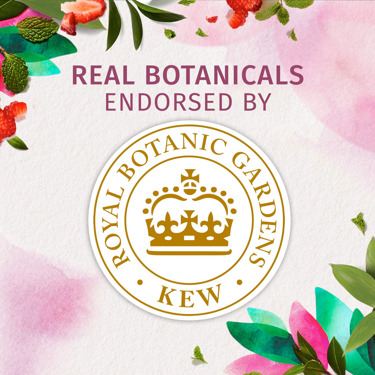 Herbal Essences Bio: Renew White Strawberry And Sweet Mint Shampoo, 400 Ml With Herbal Essences Bio Renew Argan Oil Of Morocco Conditioner, 400 Ml