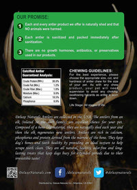 Elk Antler Chews for Dogs | Naturally Shed USA Collected Elk Antlers | All Natural A-Grade Premium Elk Antler Dog Chews | Product of USA, 4-Pack Medium Whole Medium (Pack of 4)