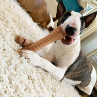 Nylabone Power Chew Dog Toy - Dog Toys for Aggressive Chewers - Indestructible Dog Toys for Aggressive Chewers Large Breed - For Extra Large Dogs - Bacon Flavor X-Large/Souper (1 Count) X-Large/Souper - 50+ lbs.