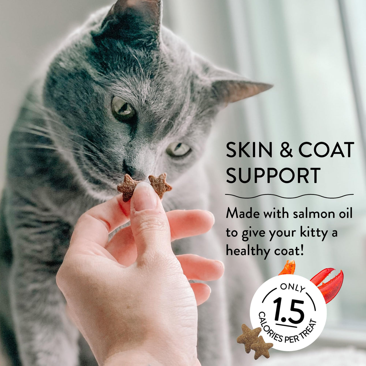 Shameless Pets Crunchy Cat Treats - with Digestive Support, Natural Ingredients Kitten Treats with Real Tuna, Healthy Flavored Feline Snacks - Lobster & Cheese, 3-Pk, Packaging May Vary More Lobster, Cheese 7.5 Ounce (Pack of 1)