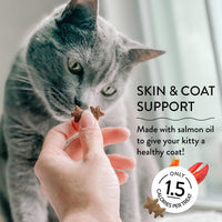 Shameless Pets Crunchy Cat Treats - with Digestive Support, Natural Ingredients Kitten Treats with Real Tuna, Healthy Flavored Feline Snacks - Lobster & Cheese, 3-Pk, Packaging May Vary More Lobster, Cheese 7.5 Ounce (Pack of 1)